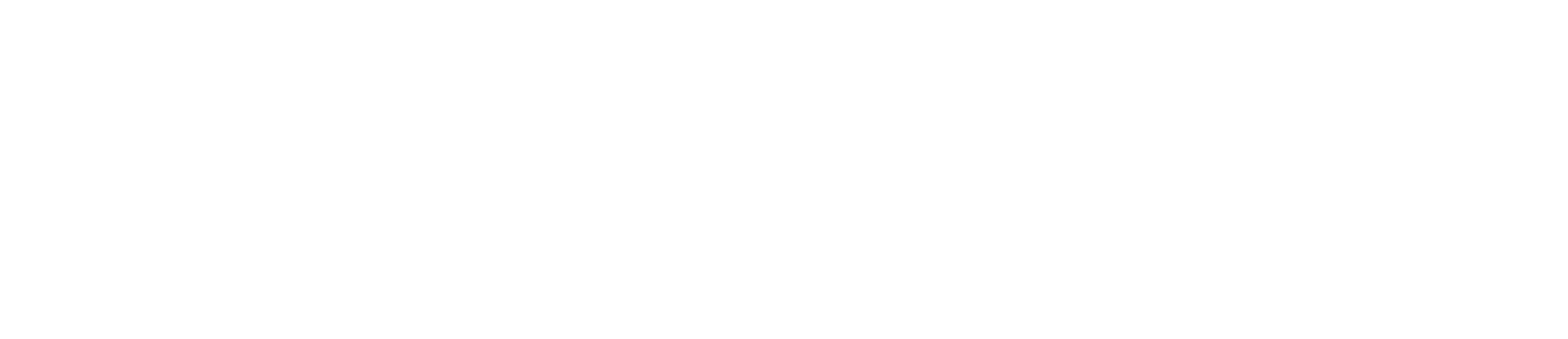 Scrubbe Logo